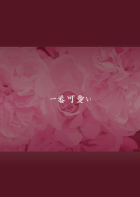 一番可愛い
