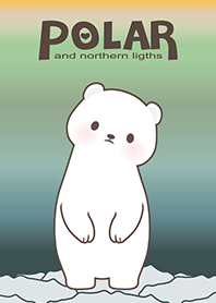 POLAR BEAR and northern lights