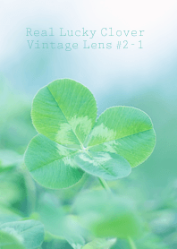 Real Lucky Clover Vintage Lens #2-1