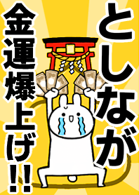 Fortune rise rabbiit[Toshinaga]