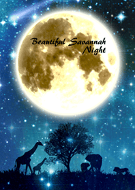 Beautiful Savannah night