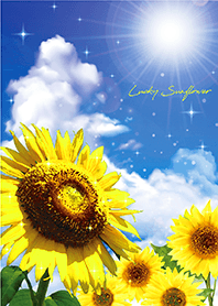 Bring good luck Blue sky & Sunflowers 7