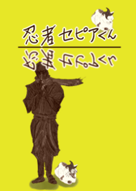 The rule of Japanese shinobi