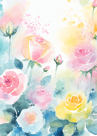 Beautiful rose flower(R4467)