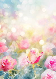 Beautiful rose flower(R1627)