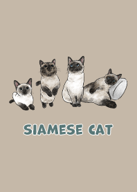 siamesecats3 / tan