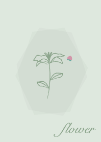 ดอกไม้ <ลูกพีช> พิสตาชิโอ กรีน