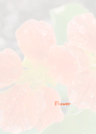 Flower Theme 9
