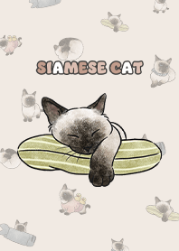 siamesecats4 - cream