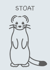 Stoat Ermine Simple White Gray