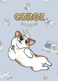 corgicorgi8 / light slate blue