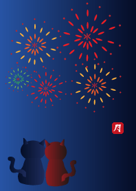 Summer fireworks and love of the cat