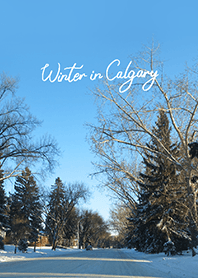 Winter in Calgary (26)
