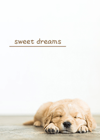 puppy sweet dreams