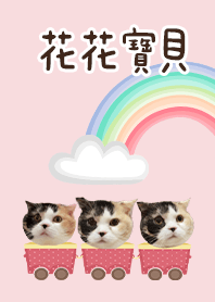 花花的花花世界