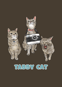 tabbycat11 / chocolate