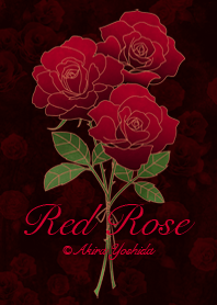 Red Rose