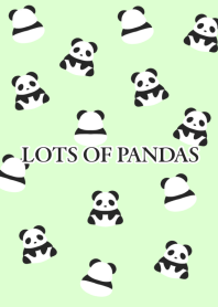 LOTS OF PANDAS-LIGHT GREEN