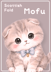 pink Ribbon and Scottish Fold