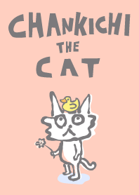 Theme of Chankichi the cat peach-colored
