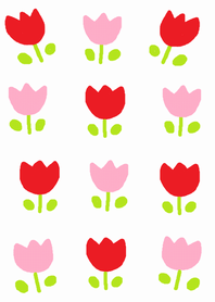Red Tulip and pink tulip