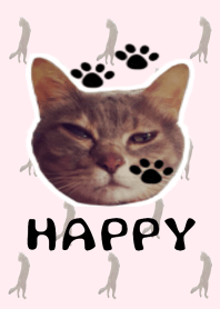 ＨＡＰＰＹ