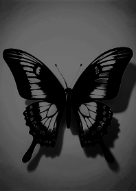 간단하고 아름다운날개를 펴는 나비-검은색