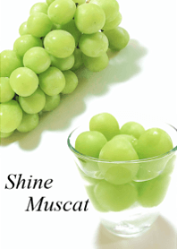 My favorite, the Shine Muscat6