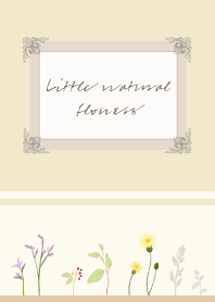 Little natural flowers -soil beige-