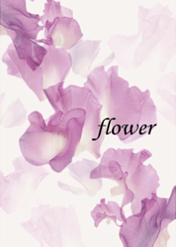 Sweet pea, full of clarity.9.