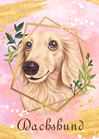 Fantasy dachshund