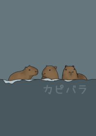 capybara and orange