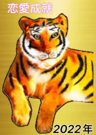 lucky gold Tiger 7