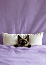 Fun playful cat blanket-Siamese cat3D