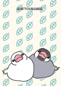 Full of Java sparrows