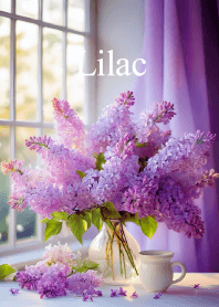 "Lilac vol.2" theme