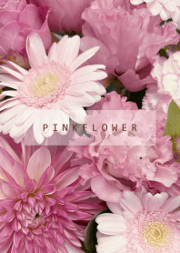 PINK FLOWER-NATURAL 42