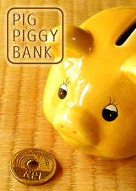 Pig piggy bank!!