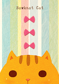 Bowknot Cat