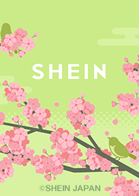 SHEIN -Spring-
