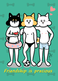 CuteShiba Inu-friendship is precious