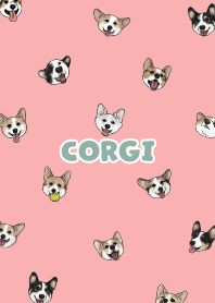 corgicorgi6 / coral