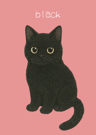 Round Black Cat2 on light pink
