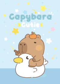 Capybara Cutie : Star