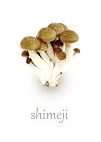 しめじ(Shimeji)