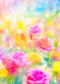 Beautiful rose flower(R3995)