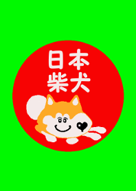 日本 柴犬