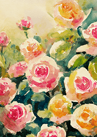 Beautiful rose flower(R4266)