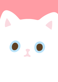 White cat so white15