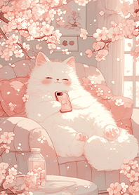 滑手機的慵懶喵❤️02